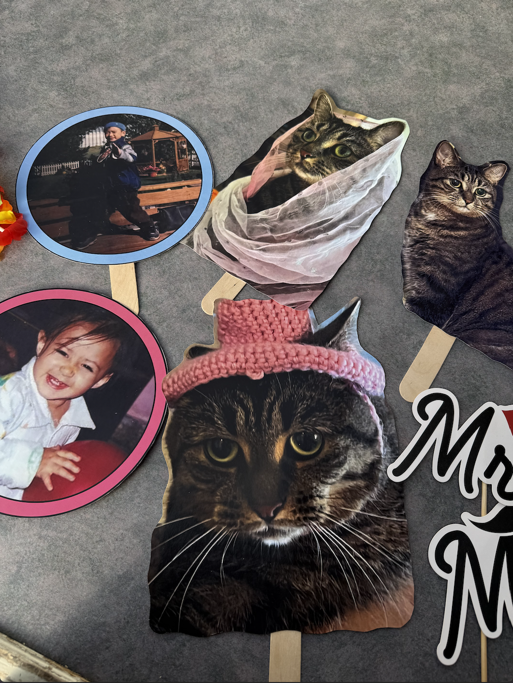 Custom photo props on sticks featuring childhood photos, pet cat cut-outs and Mr & Mrs signs