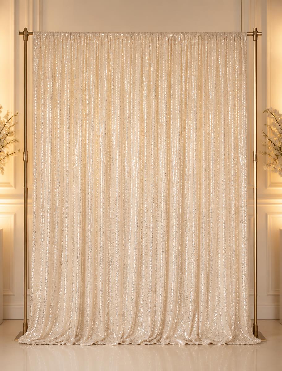 Gold Sequin photo booth backdrop